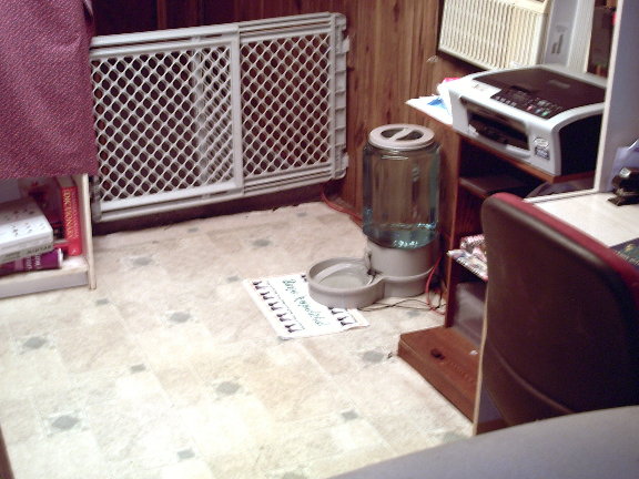 drinkingarea.jpg