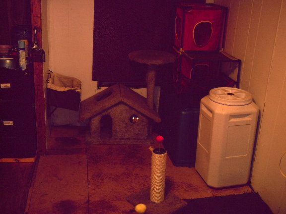 kittybedroom.jpg