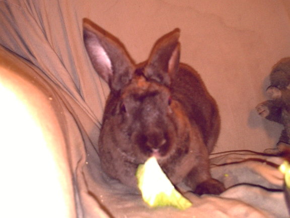 pebbles.jpg
