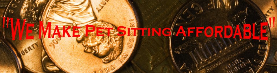 pennies.jpg